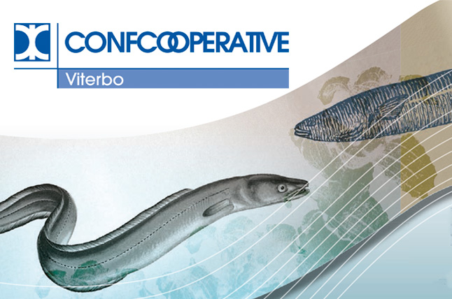 Confcooperative Viterbo